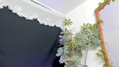   online show from March 2026 12:15:02 AM