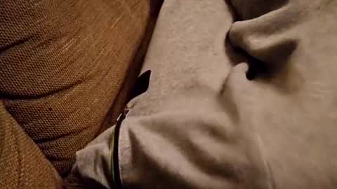 bonny8723 online show from February 2025 07:20:02 PM