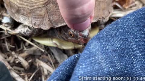 Booker Baxton online show from December 2024 04:09:01 AM