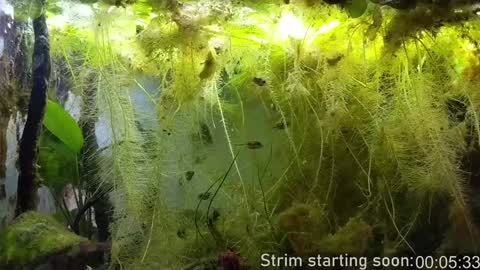 Booker Baxton online show from February 2025 04:05:01 AM