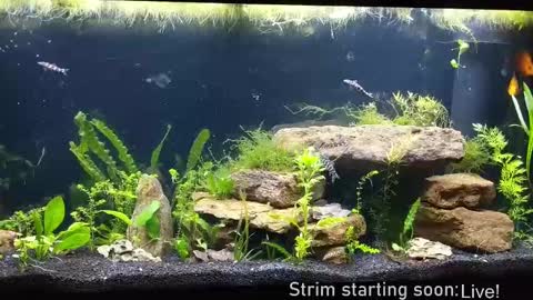 Booker Baxton online show from September 2025 03:08:02 AM