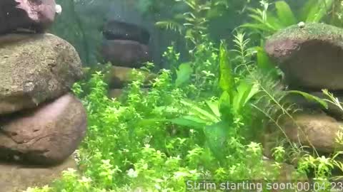 Booker Baxton online show from October 2025 03:07:01 AM