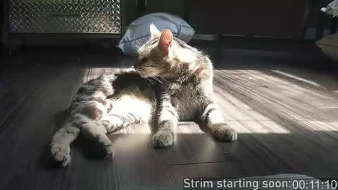 Booker Baxton online show from December 2025 03:56:01 AM