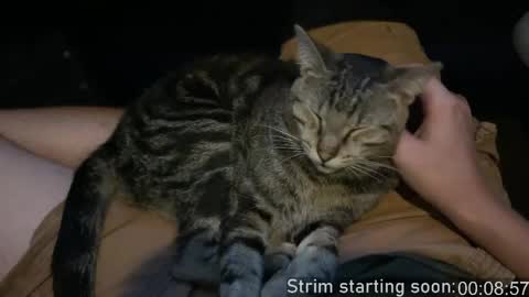 Booker Baxton online show from April 2026 03:01:01 AM