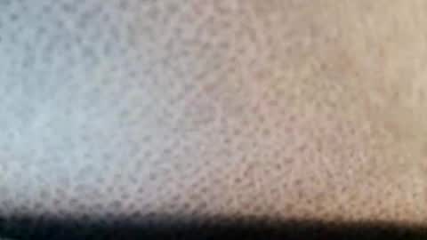 Boolika online show from March 2025 10:53:01 PM