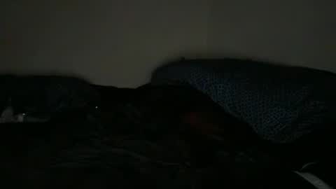 bootymaxxx online show from May 2026 07:13:01 AM