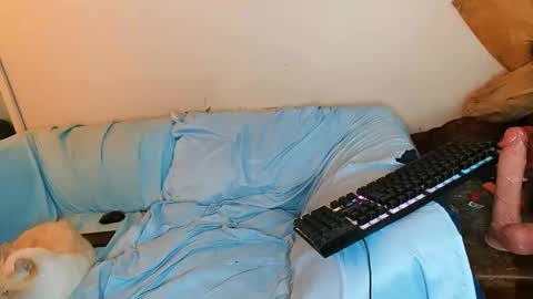 boredandirish21 online show from October 2025 04:49:01 PM