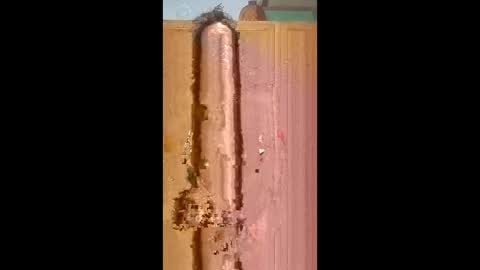 Snapshot of bossusaround chatting on February 2026 05:50:01 PM bossusaround online show from February 2026 05:50:01 PM