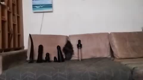 Snapshot of boy7oyy chatting on January 2025 07:29:02 PM Bes7assquirt online show from January 2025 07:29:02 PM