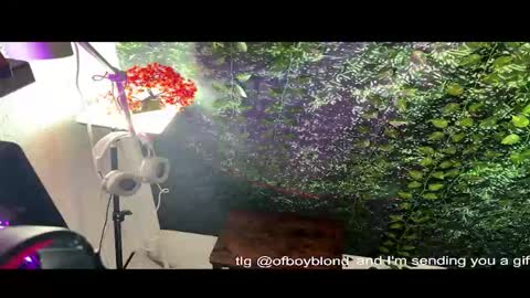 boyblondhetero online show from February 2026 11:42:02 AM