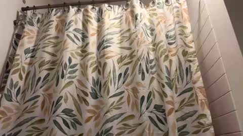 boysetsfire34 online show from March 2026 05:58:02 AM