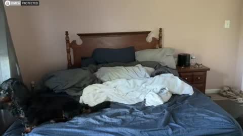 boysetsfire34 online show from July 2026 10:53:01 PM