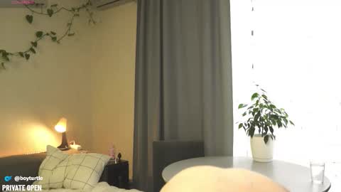 Snapshot of boyturtle chatting on November 2025 10:04:02 AM BoyTurtle online show from November 2025 10:04:02 AM