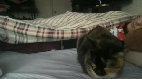 Snapshot of boywithbug chatting on February 2025 10:54:01 PM boywithbug online show from February 2025 10:54:01 PM