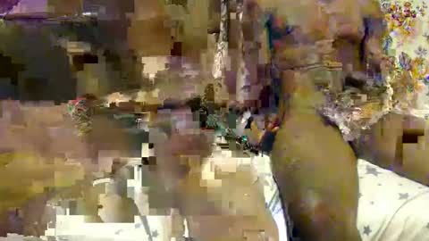daniel alex online show from March 2025 11:55:02 AM