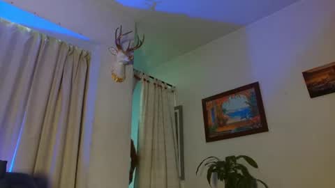 Snapshot of bradley_martinez chatting on July 2026 10:23:02 PM Bradley Martinez online show from July 2026 10:23:02 PM