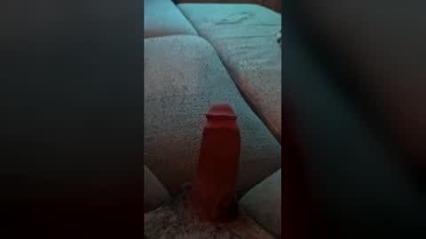 braloc09 online show from June 2026 08:04:01 PM