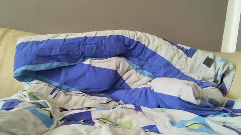 Snapshot of bramer8787 chatting on February 2025 09:00:02 AM bramer8787 online show from February 2025 09:00:02 AM