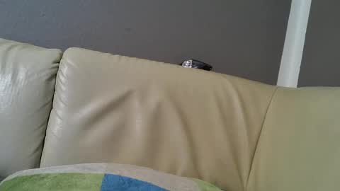 Snapshot of bramer8787 chatting on February 2025 05:29:02 AM bramer8787 online show from February 2025 05:29:02 AM