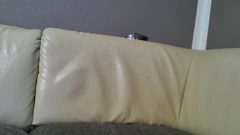 Snapshot of bramer8787 chatting on February 2025 02:47:02 AM bramer8787 online show from February 2025 02:47:02 AM