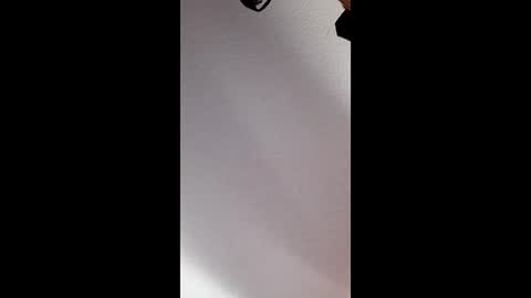 brandon281997 online show from April 2026 06:44:02 PM