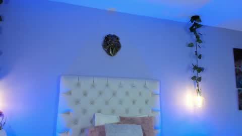   online show from February 2025 12:33:01 PM