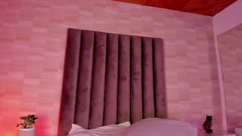   online show from February 2025 08:06:02 AM