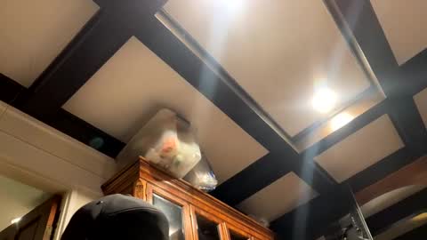 bravo323 online show from October 2025 06:26:01 PM