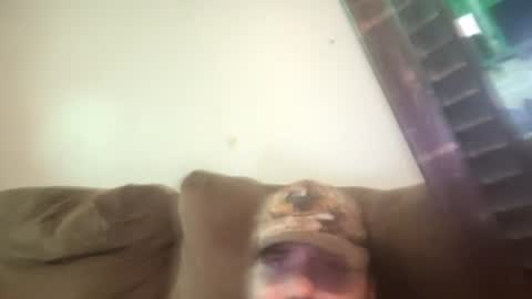Snapshot of brennenangelle24atgmailcom chatting on July 2026 09:51:01 PM brennenangelle24atgmailcom online show from July 2026 09:51:01 PM