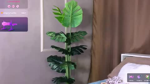 Britney online show from March 2025 12:20:01 AM