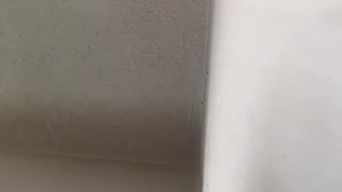 Brittany  online show from September 2025 03:35:02 PM