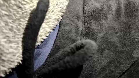 Snapshot of broken_lad chatting on January 2026 07:08:02 PM just a broken boy online show from January 2026 07:08:02 PM