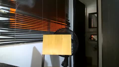 Bruce online show from February 2025 01:54:02 PM