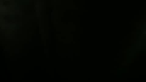 Snapshot of bruceb124u chatting on November 2025 06:46:01 AM bruceb124u online show from November 2025 06:46:01 AM