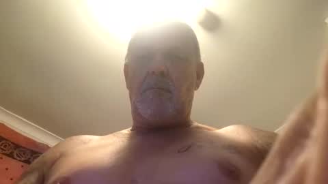 brumby94561 online show from February 2025 01:15:02 PM