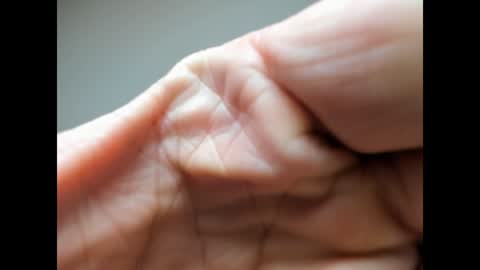 Snapshot of brutalmaster1983 chatting on December 2024 06:46:02 AM BRUTALMASTER1983 online show from December 2024 06:46:02 AM