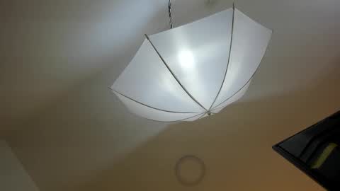 bryannamiller online show from November 2025 11:54:01 AM