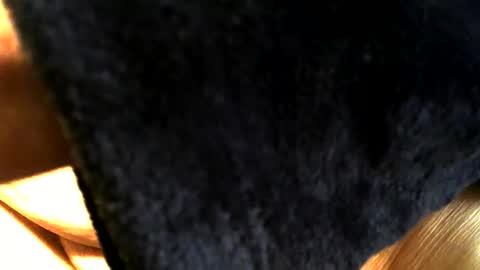 Buck online show from March 2026 03:40:01 PM