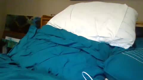 Bud42o online show from December 2024 07:09:01 AM