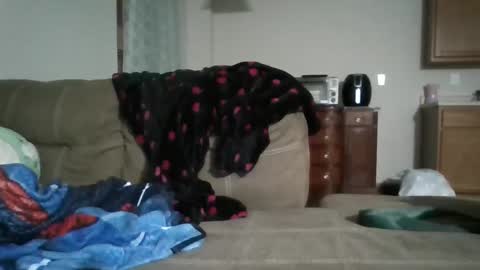 Bud42o online show from September 2025 04:56:02 AM