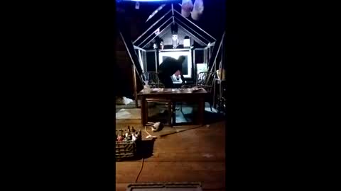 buddylovex online show from May 2026 05:46:01 AM