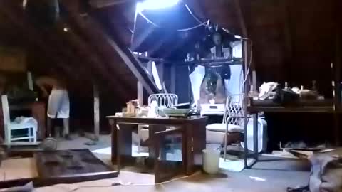 buddylovex online show from May 2026 04:07:02 AM