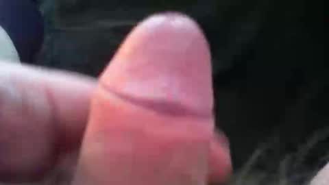 bullemoe online show from November 2025 07:41:02 AM