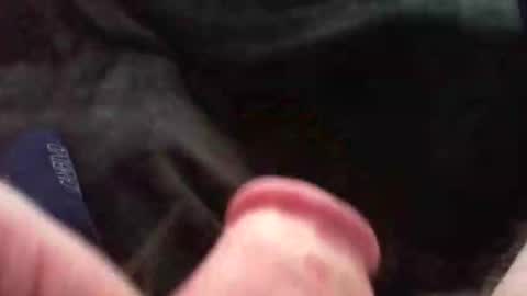 bullemoe online show from November 2025 11:41:01 AM