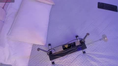 bunny_blush1 online show from March 2026 07:04:02 PM