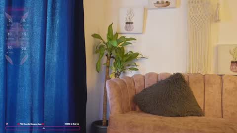 Snapshot of bunnycute_shy chatting on January 2025 12:52:01 PM 30 Off online show from January 2025 12:52:01 PM