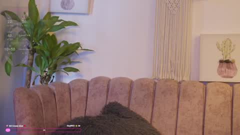 Snapshot of bunnycute_shy chatting on February 2025 04:08:01 PM 30 Off online show from February 2025 04:08:01 PM