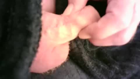 Hamish online show from November 2025 12:32:01 AM