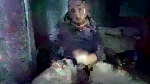 bustacoombes online show from July 2026 10:43:02 AM