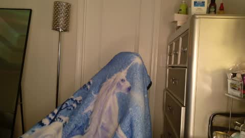 butterfly booty online show from March 2026 07:42:01 AM